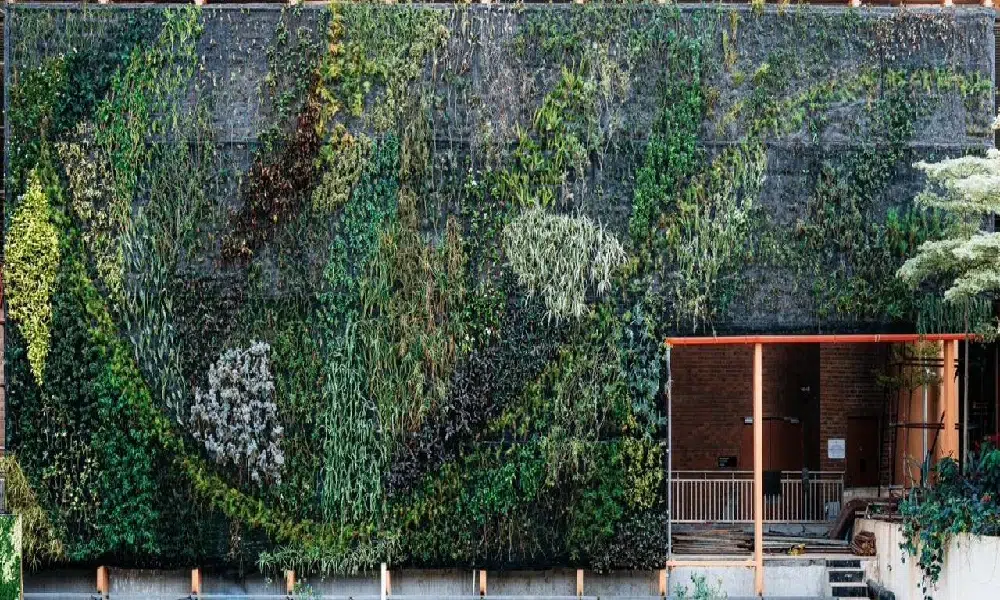 The largest vertical garden has been unveiled at Terminal 2 of the Kempegowda International Airport